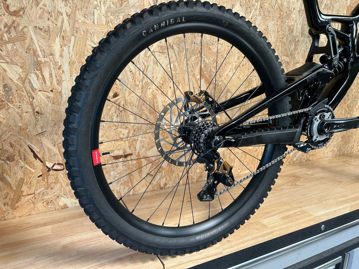 Santa Cruz v10 2025 (taille L)
